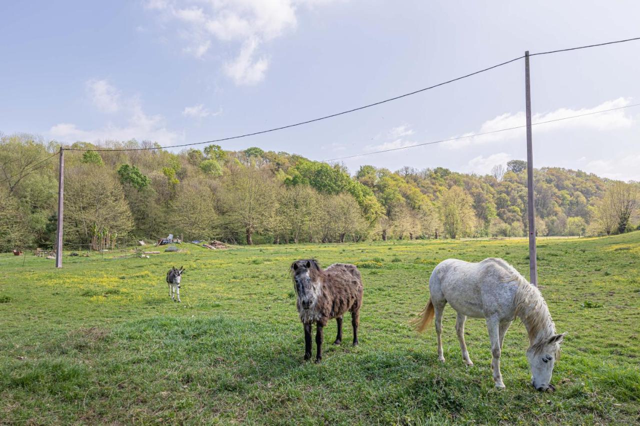 Gite Le Moulin Pocheluberry Bidache Luaran gambar